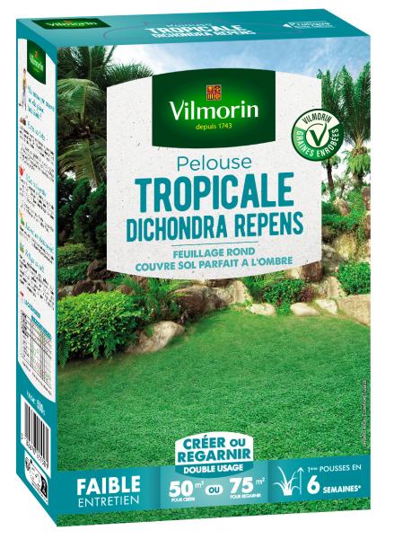 Tropical - Pelouse Tropicale - Dichondra Repens - 500 g - face recto